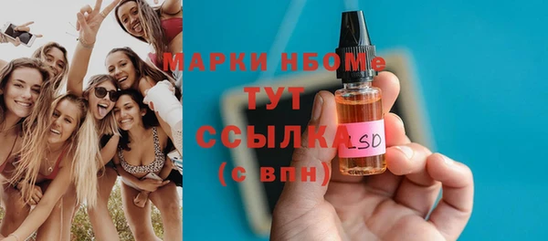 шишки Аркадак