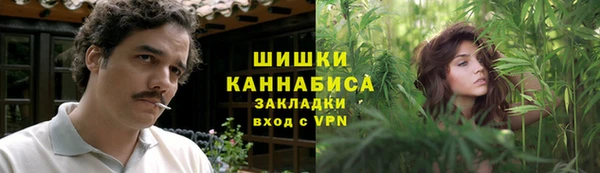 шишки Аркадак