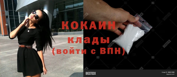 шишки Аркадак