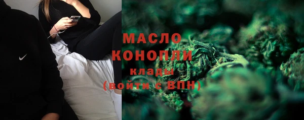 молекула духа Арсеньев