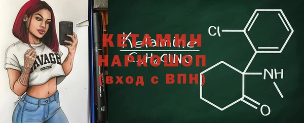 шишки Аркадак