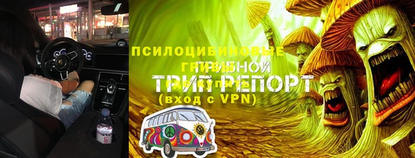 шишки Аркадак