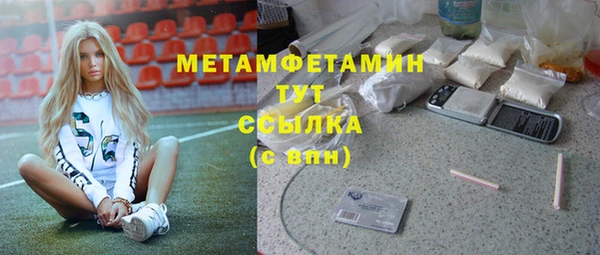 шишки Аркадак