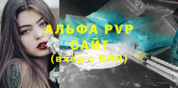 молекула духа Арсеньев