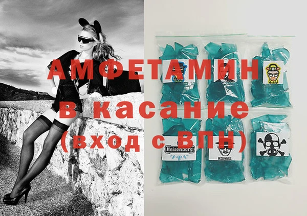 шишки Аркадак