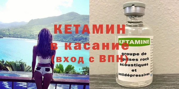 шишки Аркадак