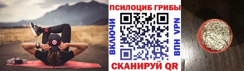 Псилоцибиновые грибы прущие грибы  МЕГА ссылки  Удомля 